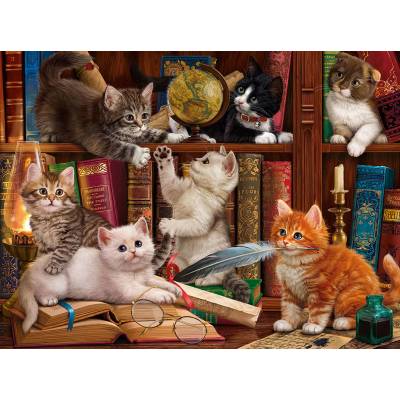 SunsOut - Puzzle Library Kittens 1000 - 1 000 piese