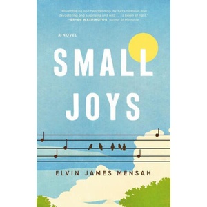 SMALL JOYS | MENSAH ELVIN JAMES (2024)