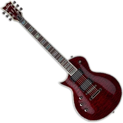 LTD-ESP EC-1000
