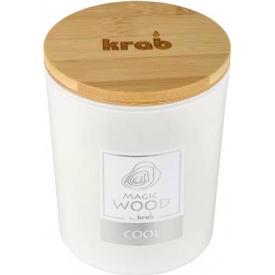 Anděl Přerov s.r.o. Magic Wood Cool 300g