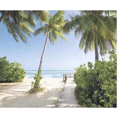 SH088-VD3 Fototapeta vliesová Palmy Beach 3-dílná rozměry 300x250 cm