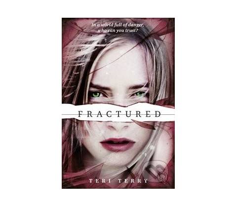 Fractured - Teri Terry