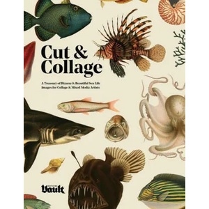 Cut and Collage | Kale James (ISBN: 9781925968774)