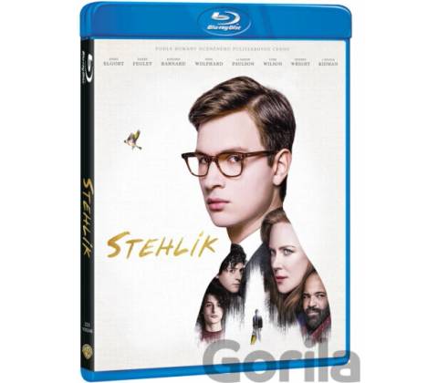 Stehlík BD