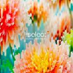 Warner Various: Select Volume 5 - 2CD (040462)