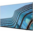 Lenovo ThinkVision E55