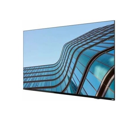 Lenovo ThinkVision E55