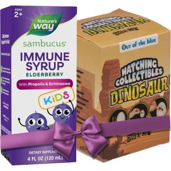 Nature's Way Sambucus Imunne Syrup за деца, 120 ml, Nature’s Way (6973)