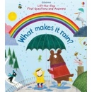 Lift-the-Flap First Questions and Answers What Makes it Rain? - Daynes Katie