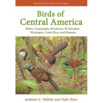 Birds of Central America