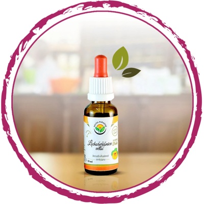 Salvia Paradise Kapucínka väčšia AF tinktúra 50 ml