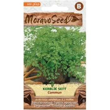 Semená Knapweed, 600 s