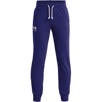 Under Armour Rival terry l