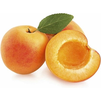 Zeelandia Ovocný gél Marhuľový 1 kg