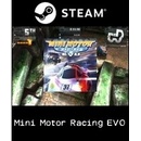 Mini Motor Racing EVO