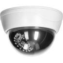 Virone CD6
