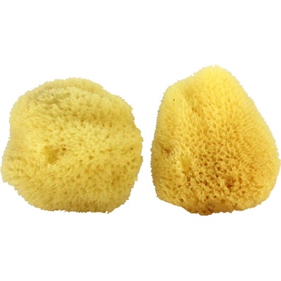 Mořská houba, přírodní 2 ks - 9 cm