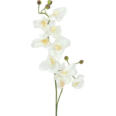 Orchidej větvička, krémově-bílá, 100 cm