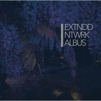 Extnddntwrk - Albus (2 ) LP