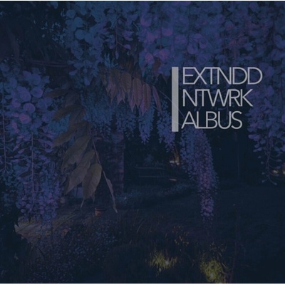 Extnddntwrk - Albus (2 ) LP