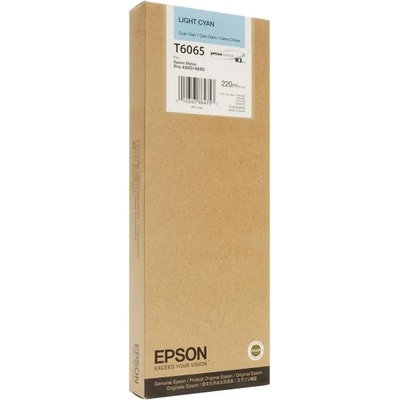 Epson T6065