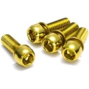 Šrouby na kotouče Reverse M6 x 18 mm, 4 ks