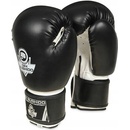 Boxerské rukavice Bushido DBX ARB-407a