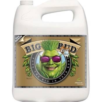 Image 1 of Big Bud Coco 5L - стимулатор на тегло и обем на цвета в кокос