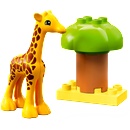 LEGO® DUPLO® - Town Wild Animals of Africa (10971)