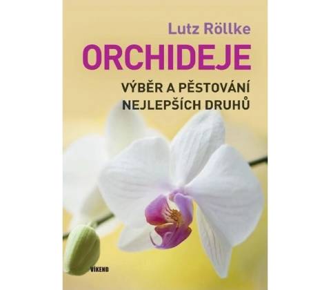 Orchideje
