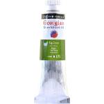 Daler Rowney Georgian Маслена боя Sap Green 37 ml 1 бр (119037375)