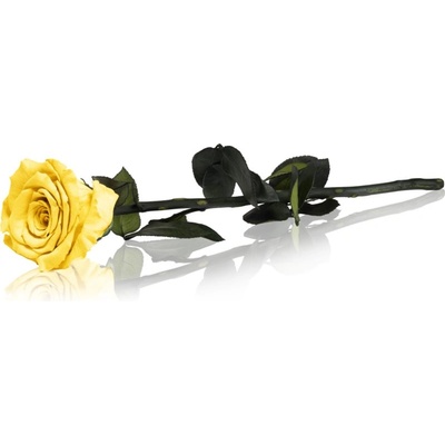 RoseAmor Yellow стабилизирана роза стрък 30 см