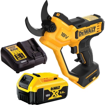 DeWALT DCMPP568P1 – Zboží Dáma