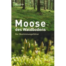 Moose des Waldbodens