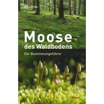 Moose des Waldbodens