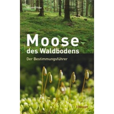 Moose des Waldbodens