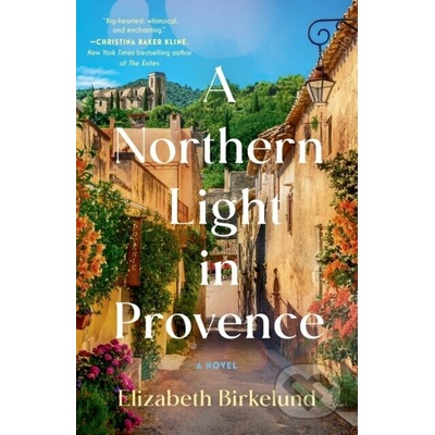 A Northern Light in Provence - Elizabeth Birkelund
