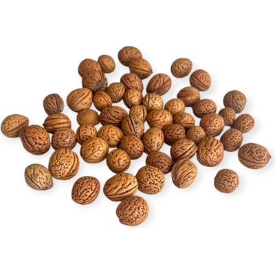 Aranžérske kôstky divej broskyne 150 g - prírodné