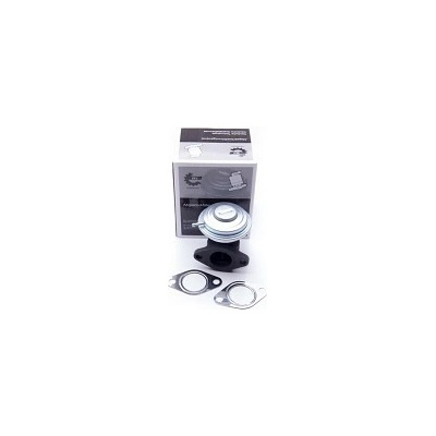 SKV EGR Ventil VW Passat B5 2.5 TDI