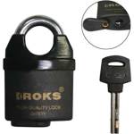  БРАВА ЗА ПОЩА 303 kroks (10967)