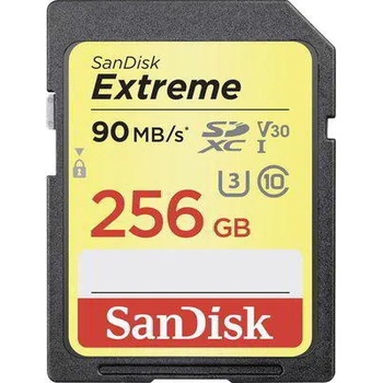 SanDisk SDXC Extreme 256GB UHS-I (SDSDXVF-256G-GNCIN/173358)