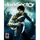 Dark Sector