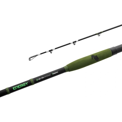 Delphin Energy Catfish 3,10 m 250 - 500 g 2 díly