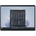 Microsoft Surface Pro 10 X66-00004