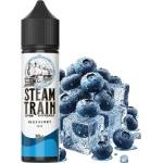 Steam Train Disposable Edition Blueberry Ice 20ml/60ml