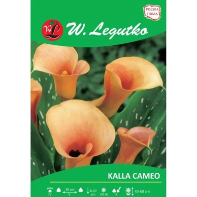 W. Legutko Kalla Cameo сьомга розово 1 брой