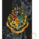 HALANTEX Fleece deka Harry Potter