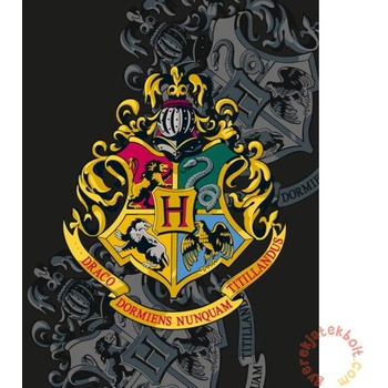 HALANTEX Fleece deka Harry Potter