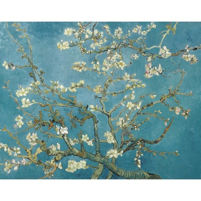 Plagát, Obraz - Mandľové kvety, Vincent van Gogh, 40 × 30 cm