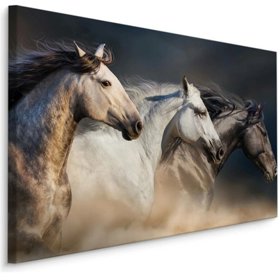 MyBestHome BOX Plátno Tři Koně Ve Cvalu Varianta: 70x50